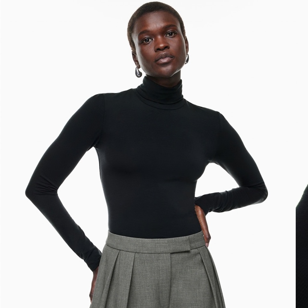 Aritzia Babaton Turtleneck